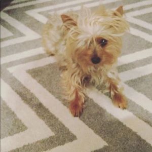 Meet your Posher, Mayli